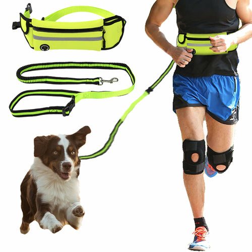 Sac Banane pour Chien Sport Imperméable Réfléchissant