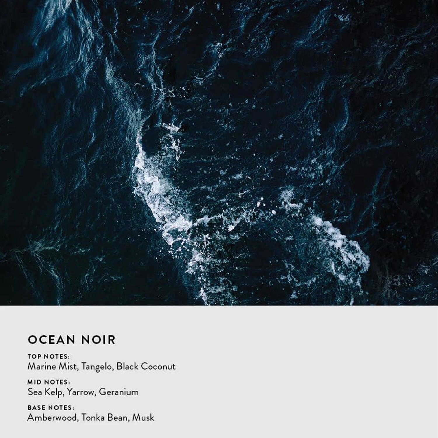 Michael Malul Ocean
Noir Eau de Parfum
Spray pour hommes - Frais
Aromatic Scent Aquatic, Dark Marine & Woody, Longue Durée
Parfum, Cadeau parfait, 100 ml / 3,4 fl oz