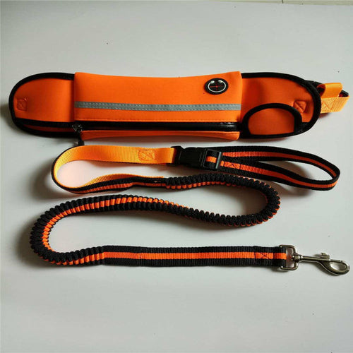 Sac Banane pour Chien Sport Imperméable Réfléchissant